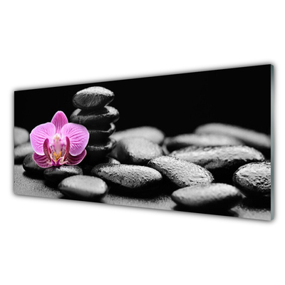 Image sur verre acrylique Pierres fleurs art rose noir