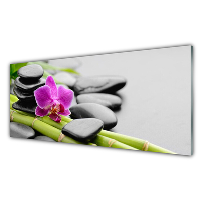 Image sur verre acrylique Pierres fleurs bambou art vert rose noir