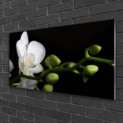 Image sur verre acrylique Fleur floral blanc