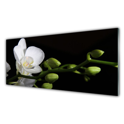 Image sur verre acrylique Fleur floral blanc