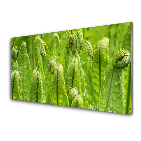 Image sur verre acrylique Plante floral vert