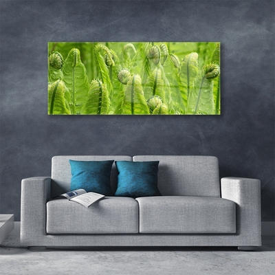 Image sur verre acrylique Plante floral vert