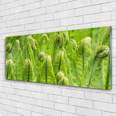 Image sur verre acrylique Plante floral vert