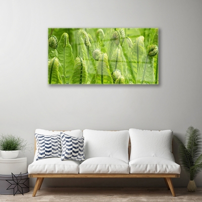 Image sur verre acrylique Plante floral vert