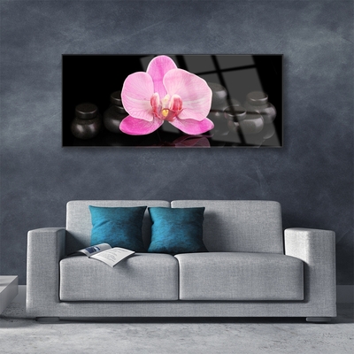 Image sur verre acrylique Pierres fleurs floral rose noir