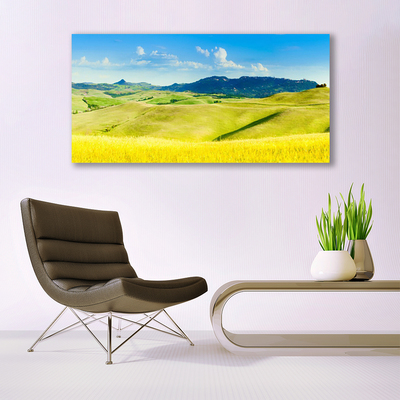 Image sur verre acrylique Montagnes champs paysage vert bleu