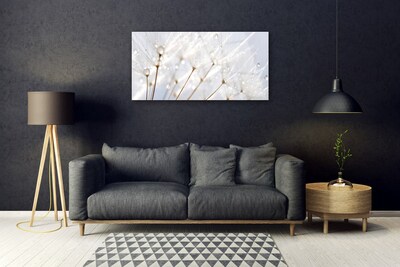 Image sur verre acrylique Pissenlit floral blanc