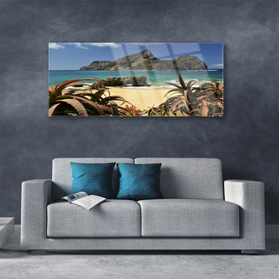 Image sur verre acrylique Plage rochers mer paysage brun bleu gris