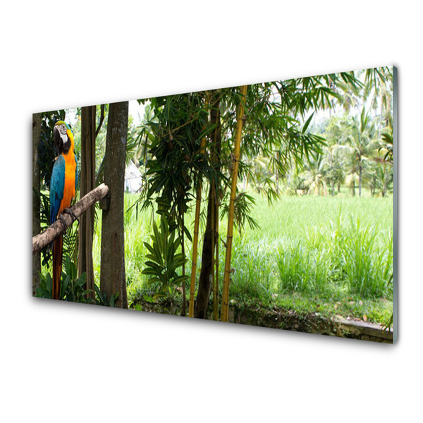 Image sur verre acrylique Arbres perroquet nature bleu jaune brun vert
