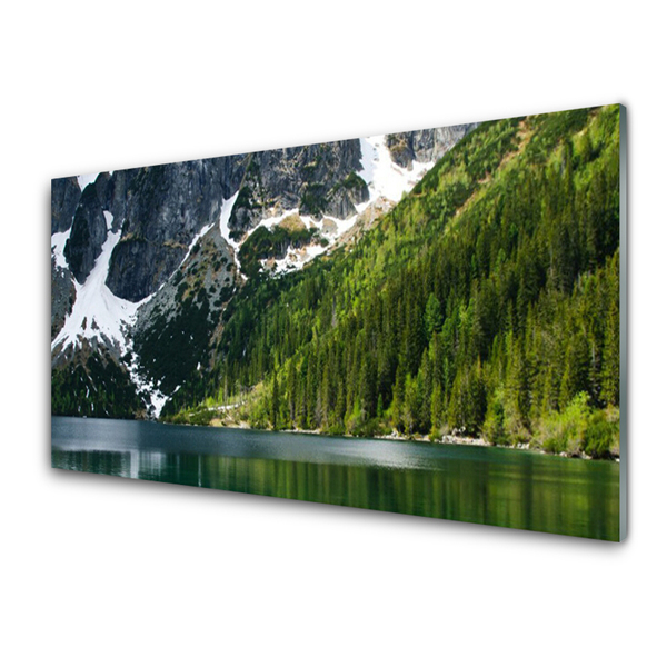 Image sur verre acrylique Lac montagnes forêt paysage gris blanc vert