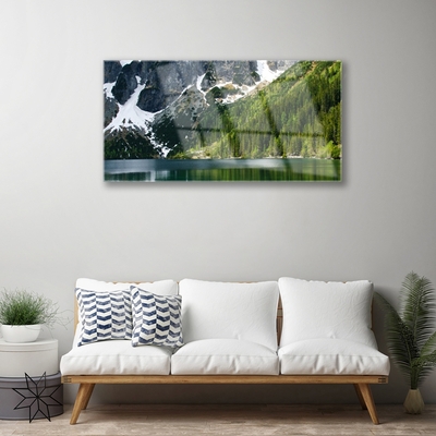 Image sur verre acrylique Lac montagnes forêt paysage gris blanc vert