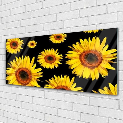 Image sur verre acrylique Tournesol floral brun jaune