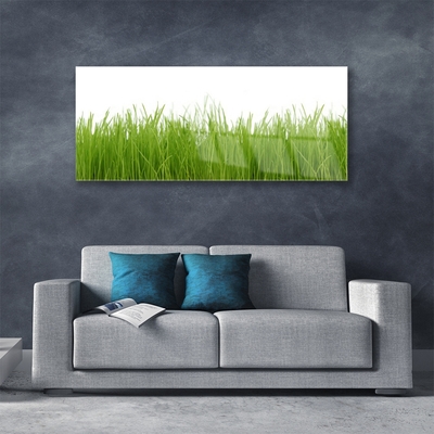 Image sur verre acrylique Herbe nature vert