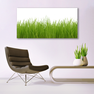 Image sur verre acrylique Herbe nature vert