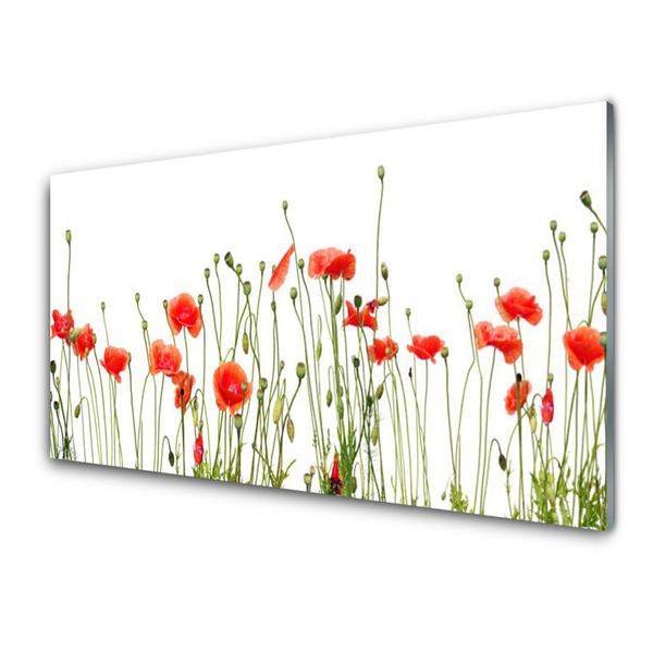 Image sur verre acrylique Coquelicots floral rouge vert