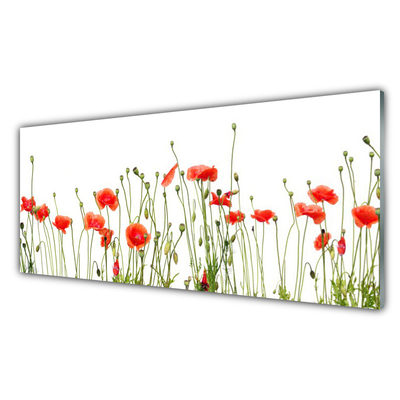 Image sur verre acrylique Coquelicots floral rouge vert