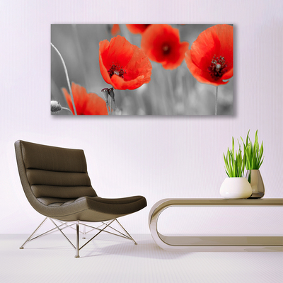 Image sur verre acrylique Coquelicots floral rouge gris