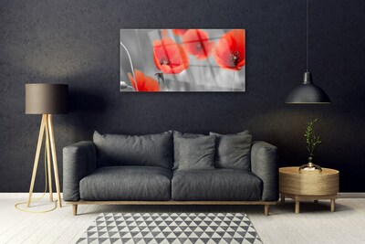 Image sur verre acrylique Coquelicots floral rouge gris