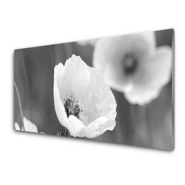 Image sur verre acrylique Coquelicots floral gris
