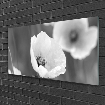 Image sur verre acrylique Coquelicots floral gris