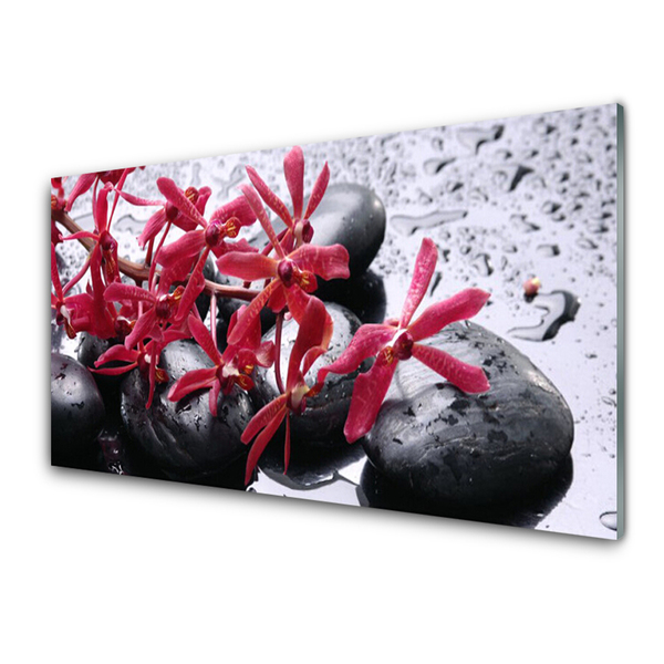 Image sur verre acrylique Pierres fleurs art noir rouge