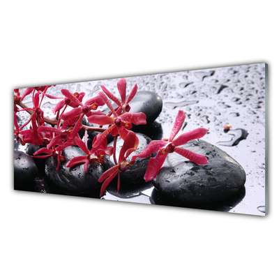 Image sur verre acrylique Pierres fleurs art noir rouge