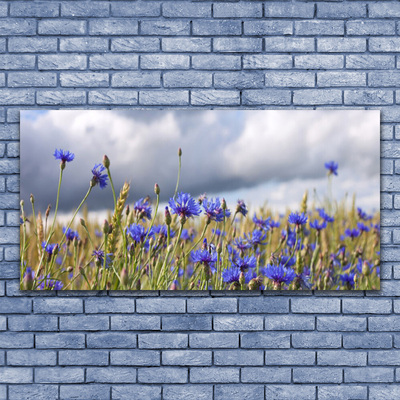 Image sur verre acrylique Fleurs floral violet vert