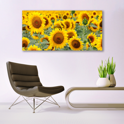 Image sur verre acrylique Tournesol floral brun jaune