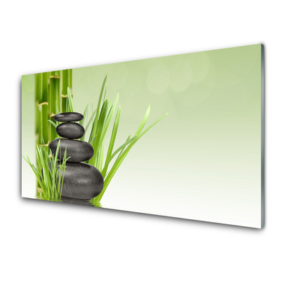 Image sur verre acrylique Bambou herbe pierres floral vert noir