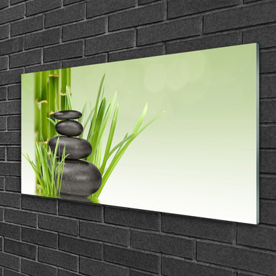 Image sur verre acrylique Bambou herbe pierres floral vert noir