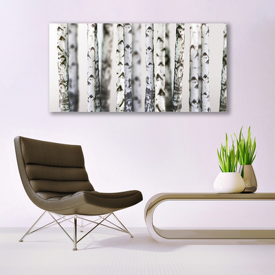 Image sur verre acrylique Arbres nature noir blanc