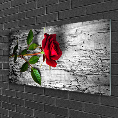 Image sur verre acrylique Rose floral rouge vert