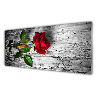 Image sur verre acrylique Rose floral rouge vert