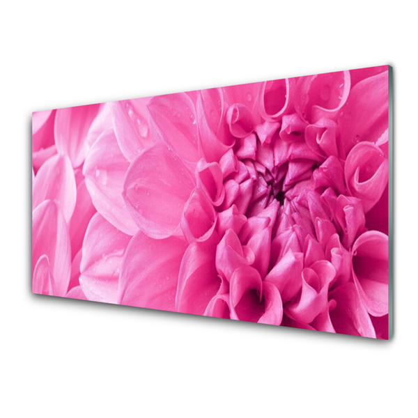 Image sur verre acrylique Fleurs floral rose