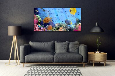Image sur verre acrylique Récif de corail nature multicolore