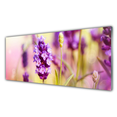 Image sur verre acrylique Fleurs floral rose