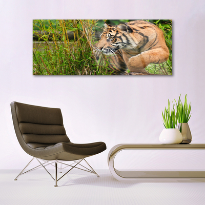 Image sur verre acrylique Tigre animaux brun noir