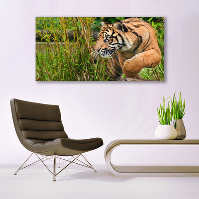 Image sur verre acrylique Tigre animaux brun noir