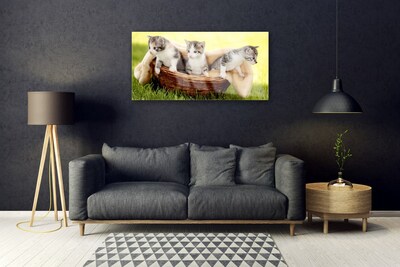 Image sur verre acrylique Chats animaux gris blanc brun