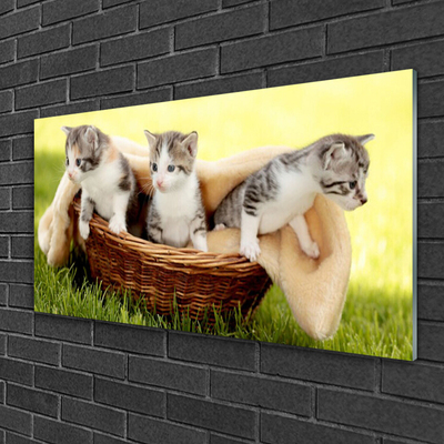 Image sur verre acrylique Chats animaux gris blanc brun