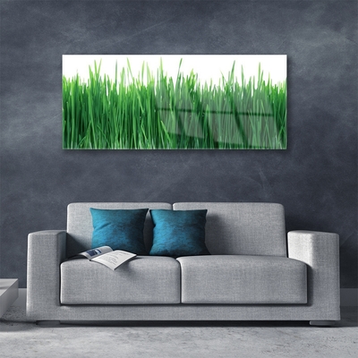 Image sur verre acrylique Herbe nature vert