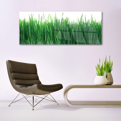 Image sur verre acrylique Herbe nature vert