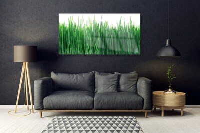 Image sur verre acrylique Herbe nature vert