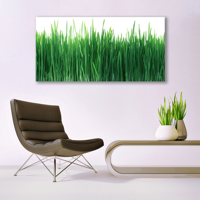 Image sur verre acrylique Herbe nature vert