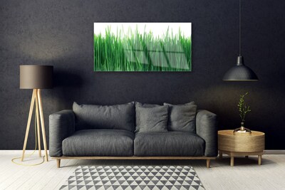 Image sur verre acrylique Herbe nature vert