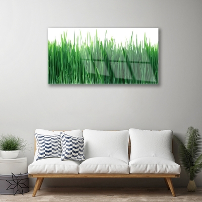 Image sur verre acrylique Herbe nature vert