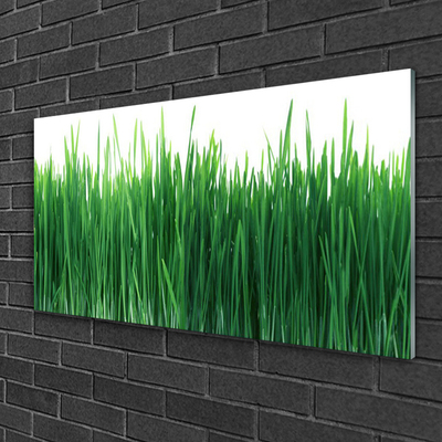 Image sur verre acrylique Herbe nature vert