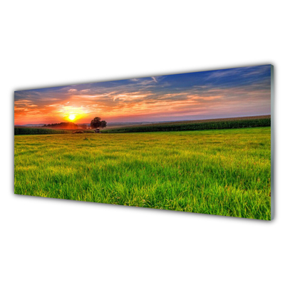 Image sur verre acrylique Soleil prairie nature vert jaune violet