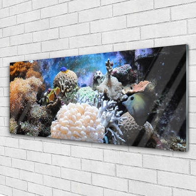 Image sur verre acrylique Récif de corail nature gris blanc jaune