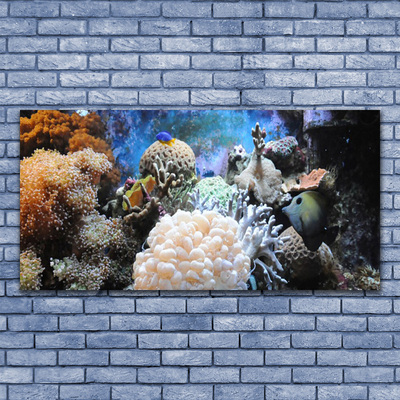 Image sur verre acrylique Récif de corail nature gris blanc jaune
